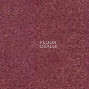 Ковролин Shaw Bradberry 30 472 фото 1 | FLOORDEALER