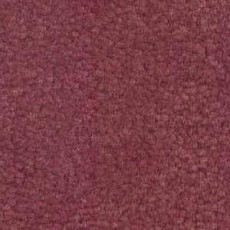 Ковролин Shaw Bradberry 30 472 фото 1 | FLOORDEALER