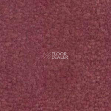 Ковролин Shaw Bradberry 30 472 фото 1 | FLOORDEALER