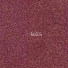Ковролин Shaw Bradberry 30 472 фото 1 | FLOORDEALER