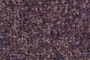 Ковролин Balsan Bolero roll 870 фото  | FLOORDEALER