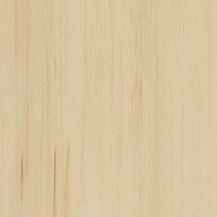 Линолеум Lino Fatra DUAL 855 фото 1 | FLOORDEALER