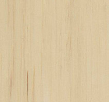 Линолеум Lino Fatra DUAL 855 фото 1 | FLOORDEALER