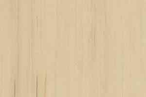 Линолеум Lino Fatra DUAL 855 фото  | FLOORDEALER