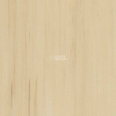 Lino Fatra DUAL 855 фото 1 | FLOORDEALER