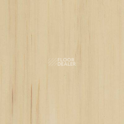 Линолеум Lino Fatra DUAL 855 фото 1 | FLOORDEALER