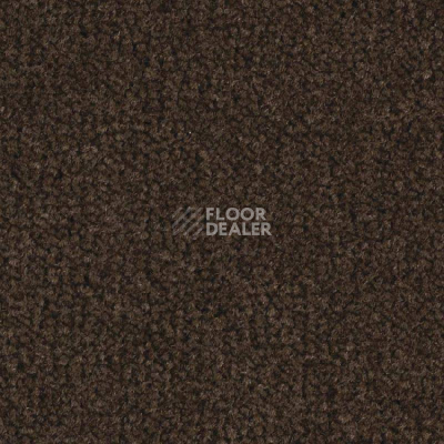 Ковролин Balsan Luxe 793 фото 1 | FLOORDEALER