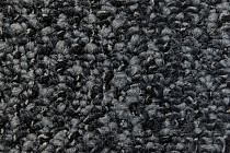 Balsan Take a Walk Rolls 970 фото 2 | FLOORDEALER