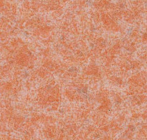 Линолеум Lg Calmpasso CP 93503 фото 1 | FLOORDEALER