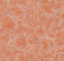 Линолеум Lg Calmpasso CP 93503 фото 1 | FLOORDEALER