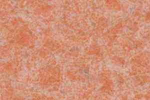 Линолеум Lg Calmpasso CP 93503 фото  | FLOORDEALER