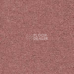 Ковролин Radici Montecarlo 89 фото 1 | FLOORDEALER