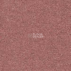 Ковролин Radici Montecarlo 89 фото 1 | FLOORDEALER