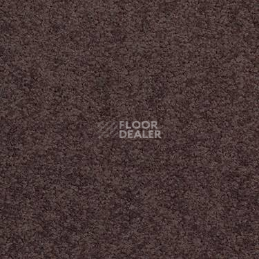 Ковровая плитка Modulyss Cambridge 463 фото 1 | FLOORDEALER