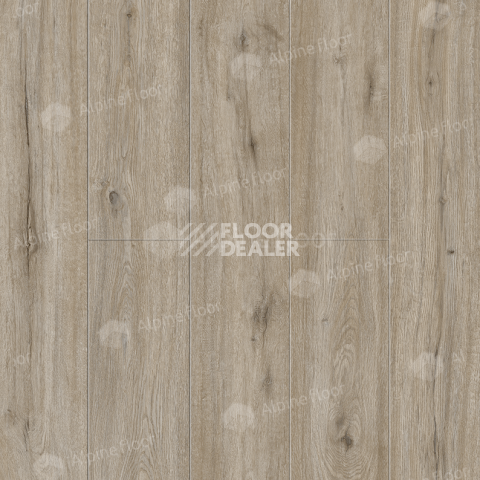 Кварцвиниловые полы Alpine Floor Solo Plus 4мм Дуб Прэсто ECO14-801 фото 1 | FLOORDEALER