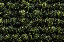 Art Intervention Коллекция Creative Spark Creative Spark 646 фото 7 | FLOORDEALER