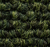 Art Intervention Коллекция Creative Spark Creative Spark 646 фото 7 | FLOORDEALER