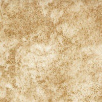 Линолеум Novoflor Standard 3100_13 фото 1 | FLOORDEALER