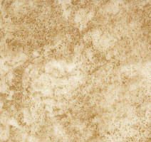 Линолеум Novoflor Standard 3100_13 фото 1 | FLOORDEALER