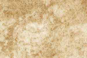 Линолеум Novoflor Standard 3100_13 фото  | FLOORDEALER