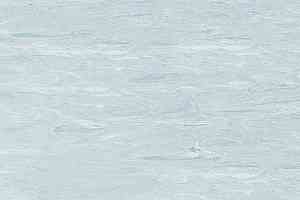 Линолеум Polyflor Sd 5050 фото  | FLOORDEALER