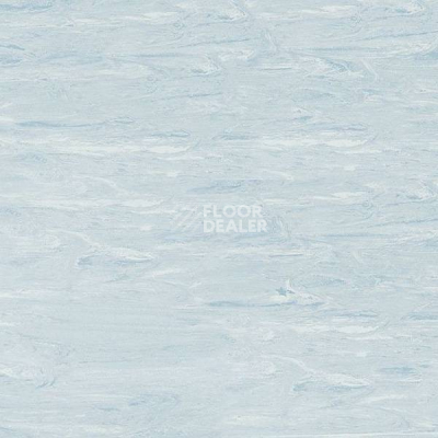 Линолеум Polyflor Sd 5050 фото 1 | FLOORDEALER