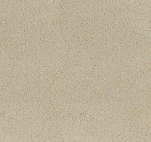 Ковролин Desso Asteranne 1002 фото 1 | FLOORDEALER