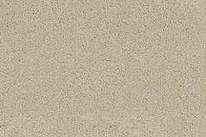 Ковролин Desso Asteranne 1002 фото  | FLOORDEALER