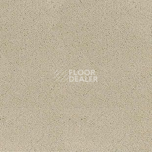 Ковролин Desso Asteranne 1002 фото 1 | FLOORDEALER