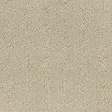 Desso Asteranne 1002 фото 1 | FLOORDEALER