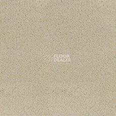 Ковролин Desso Asteranne 1002 фото 1 | FLOORDEALER