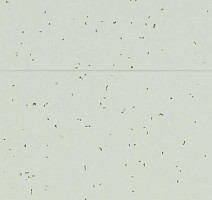 Forbo Sphera Energetic 50233 swedish grey фото 2 | FLOORDEALER