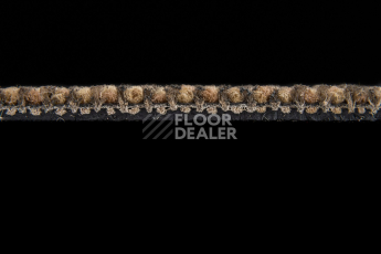 Escom Coral 5402 фото 4 | FLOORDEALER
