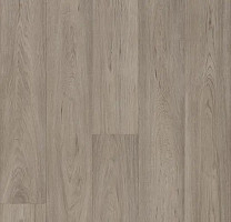 Линолеум Forbo Eternal Original 68962 grey oak фото 1 | FLOORDEALER