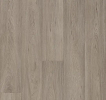 Линолеум Forbo Eternal Original 68962 grey oak фото 1 | FLOORDEALER