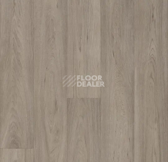 Линолеум Forbo Eternal Original 68962 grey oak фото 1 | FLOORDEALER