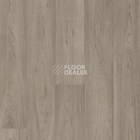Линолеум Forbo Eternal Original 68962 grey oak фото 1 | FLOORDEALER