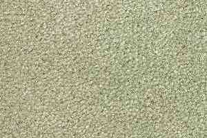 Ковролин Radici Montecarlo 63 фото  | FLOORDEALER