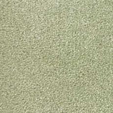 Ковролин Radici Montecarlo 63 фото 1 | FLOORDEALER