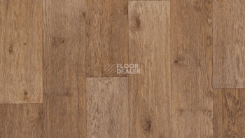 Линолеум Tarkett Activa R Dublin 2 фото 1 | FLOORDEALER