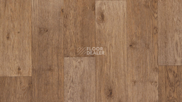 Линолеум Tarkett Activa R Dublin 2 фото 1 | FLOORDEALER
