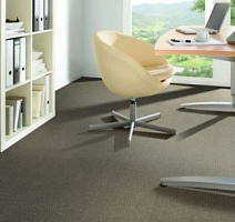 Ruscarpettiles Apple