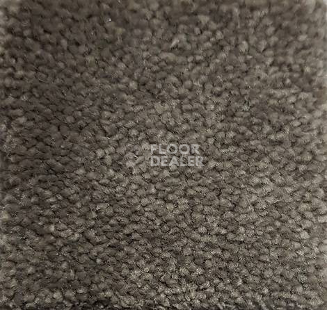 Ковролин Condor Carpets Chablis 122 фото 1 | FLOORDEALER