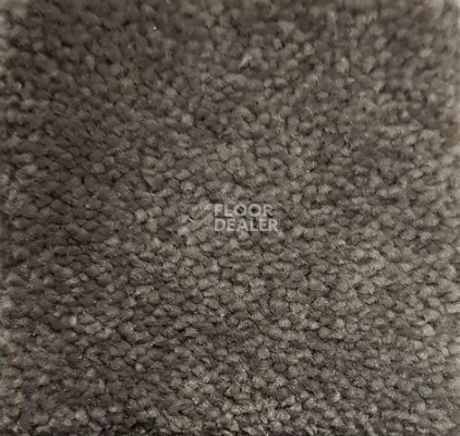 Ковролин Condor Carpets Chablis 122 фото 1 | FLOORDEALER