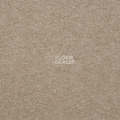 Ковролин Lano Godiva 264 фото 1 | FLOORDEALER
