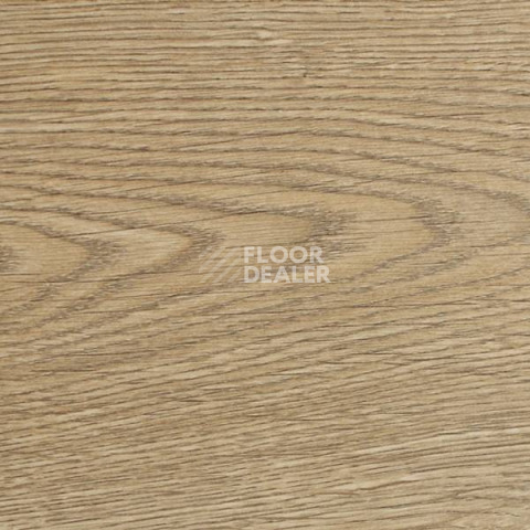 Ламинат Clix Floor Charm CXC162 Дуб Карамель фото 1 | FLOORDEALER