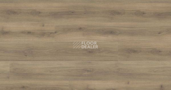 Ламинат Haro Tritty 100 4V ДУБ ЭМИЛИЯ ВЕЛЬВЕТ КОРИЧНЕВЫЙ 542079 фото 1 | FLOORDEALER