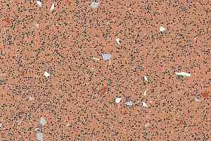 Линолеум Polysafe Strata 4180 фото  | FLOORDEALER