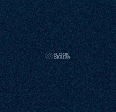 Линолеум Forbo Marmoleum Bulletin Board 2214 blue berry фото 1 | FLOORDEALER