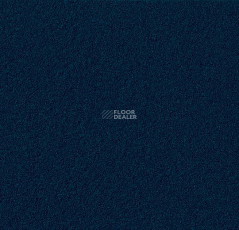 Forbo Marmoleum Bulletin Board 2214 blue berry фото 1 | FLOORDEALER